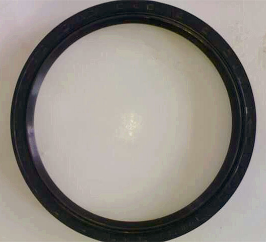 oil seal HOK rubber NBR System 1