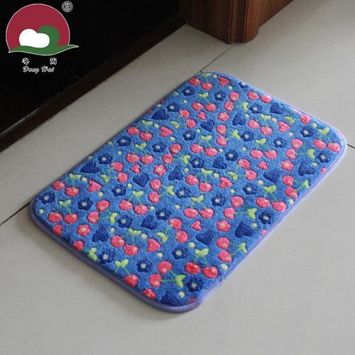 Coral Fleece Pattern Entry way door mat System 1