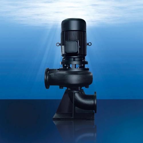 WL series vertical dry type sewage pump System 1