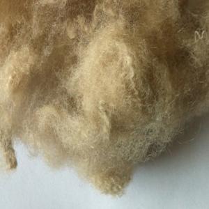 Hollow Conjugated Polyester Staple Fiber, Different Color