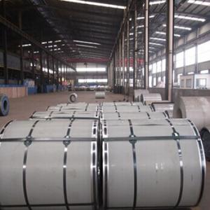 Prepainted Galvanized Steel Coil-High Quality