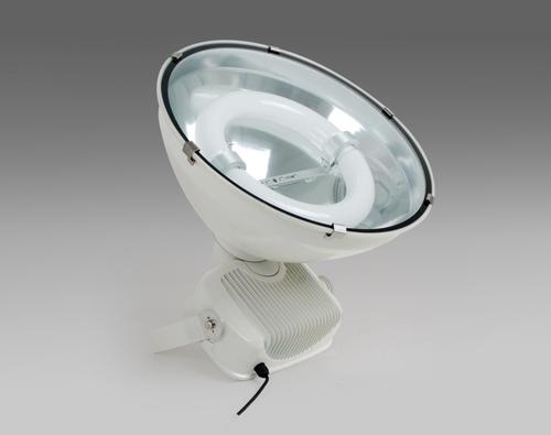 Flood light 05-009 energy saving 200W 250W 300W LVD Induction lamp System 1