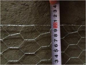 WIRE MESH ONE TYPE