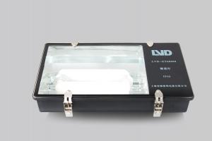 LVD induction lamp ip65 outdoor tunnel light 06-502