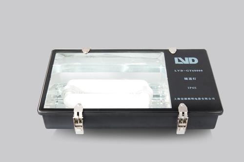 LVD induction lamp ip65 outdoor tunnel light 06-502 System 1