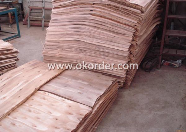 WBP Glue Hardwood Core Film Faced Plywood System 1