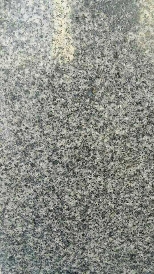 Spary White Granite/Granite/Natural Granite Stone