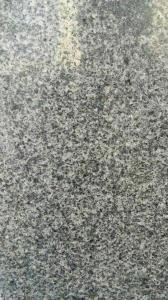 Natural Granite 600*600 for construction