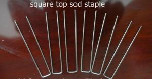 U Shape Staple Pin Manufactory High Quality