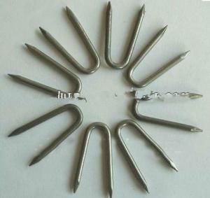 Fence Staples U Nails Supplies Manufactory