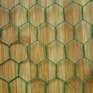 WIRE MESH WITH LINES