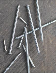 Galvanized concrete nail nail of high quality