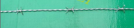 Galvanized Barbed Wire with good quality