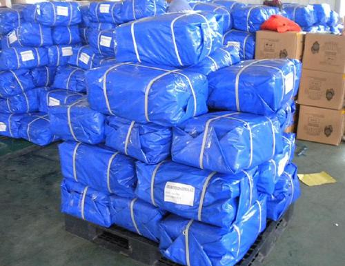 PE BLUE TARPAULIN System 1