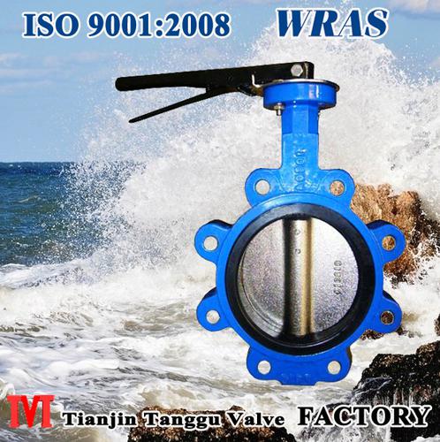 Manual Operated  Lug Butterfly Valve System 1