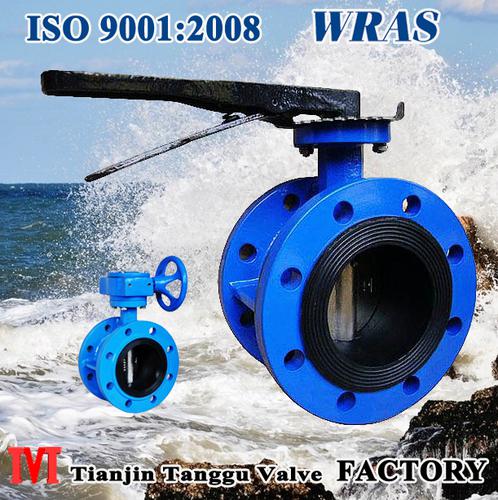 Double Flanged Butterfly Valve System 1