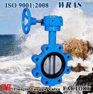 Gear Operated Lug Type Butterfly Valve