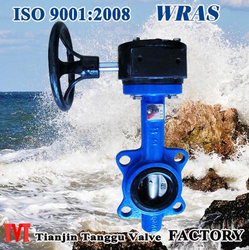 Gear Operated wafer Butterfly Valve System 1