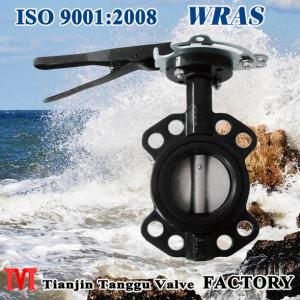 Wafer Type API Butterfly Valve With Locking Device System 1