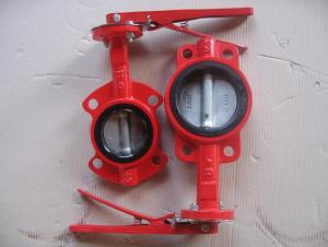 Ductile Iron wafe type butterfly valve System 1