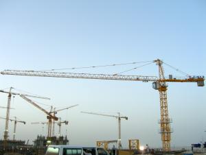 TOWER CRANE SL6011 WITH Multiple special mounting brackets