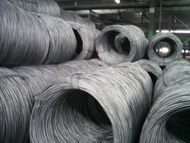 Hot Rolled Carbon Steel Wire Rod in Coil