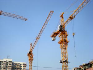 TOWER CRANE SL6036 used in wild and harsh environment