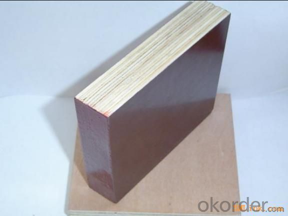 Double Film Plywood 21mm Thickness