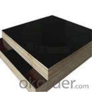 Double Film Plywood 21mm Thickness