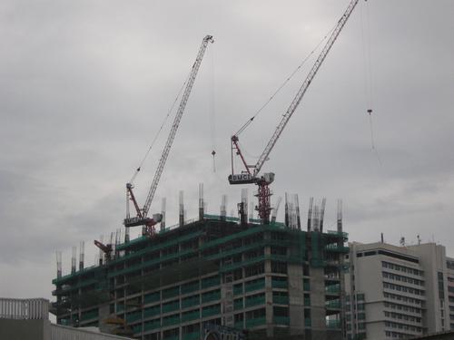 SCD160 TOWER CRANE With an internationally fashionable appearance System 1
