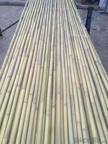 Bamboo Sticks Natural for Decoration Bamboo System 1