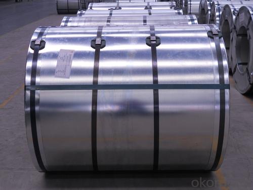 PREPAINTED GALVANIZED STEEL IN COIL System 1