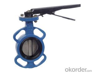 Ductile Iron  Butterfly Valves DN100 PN16