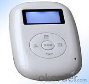 Personal GPS Tracker 19D System 1