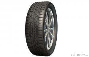 Passager Car Radial Tyre WP15 with Good Quality System 1