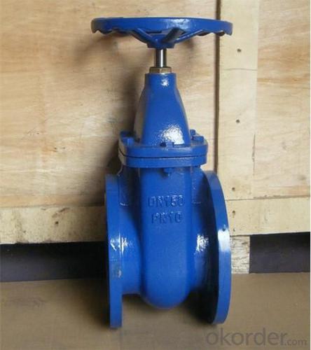 Ductile Iron Bs5163 Gate Valve System 1