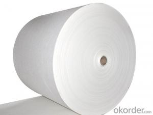 Staple fiber Polyester mat