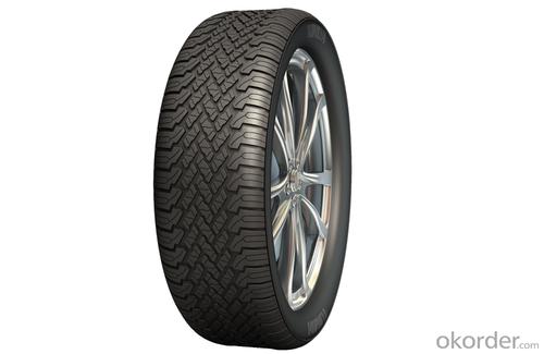 Passager Car Radial Tyre WL16 with Good quality System 1