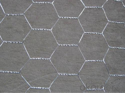 Galvanized Hexagonal Wire Mesh System 1