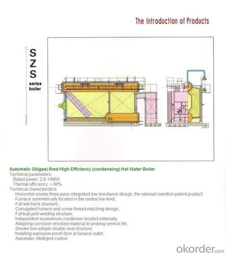 Gas Boiler,Circulating Fluidized Bed Boiler,Boimass Fuel Boiler System 1