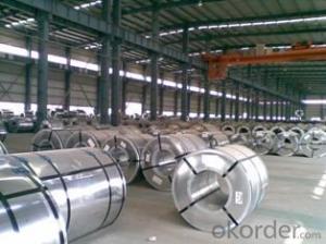 Prepainted Galvanized Steel Sheets In Coils