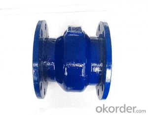 DCI Lift Check Valve for Drinking Water System 1