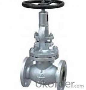 wcb globe valve DN500 System 1
