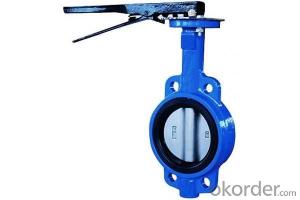 Iron Butterfly Valve DN900 System 1