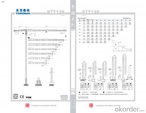 YONGMAO STT139 tower crane System 1