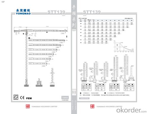 YONGMAO STT139 tower crane System 1