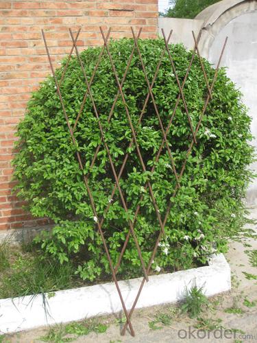 WILLOW EXPANDING GARDENING DECORATION System 1