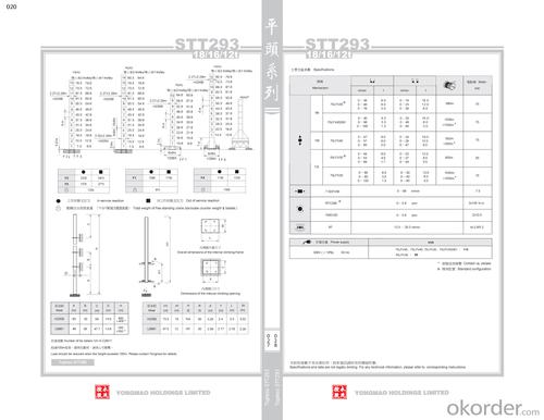 YONGMAO STT403 tower crane System 1