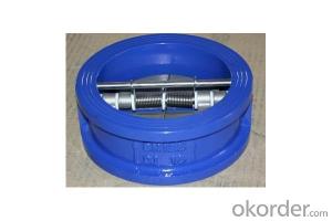 Ductile Iron Check Valve DN1400 Quality Guarantee China System 1