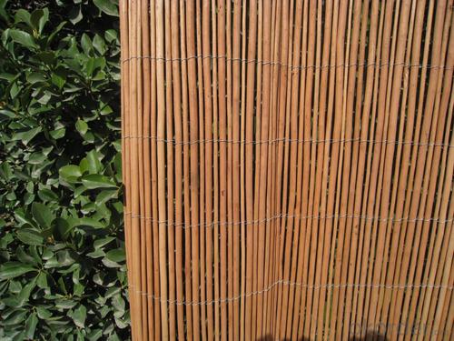 WILLOW PRIVACY GARDEN DECORATION System 1